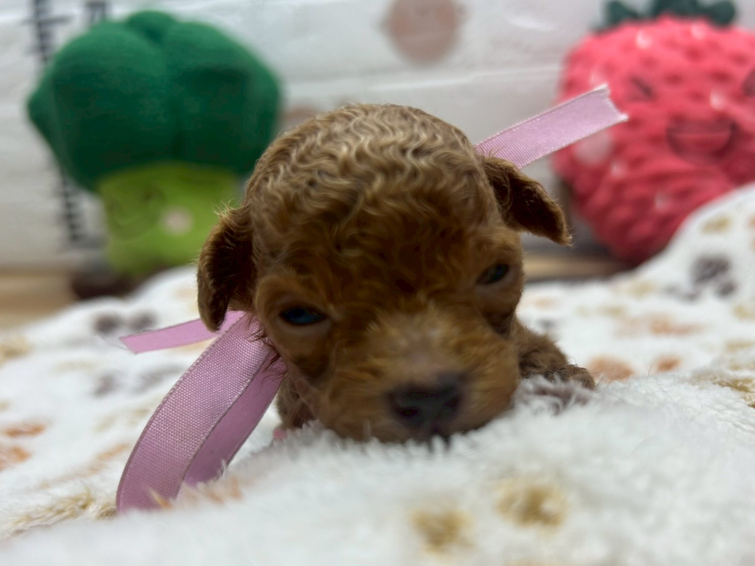 赤ちゃん写真2-1