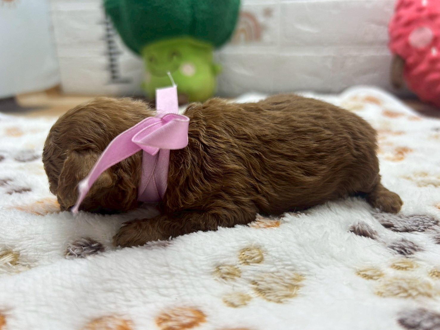 赤ちゃん写真2-2