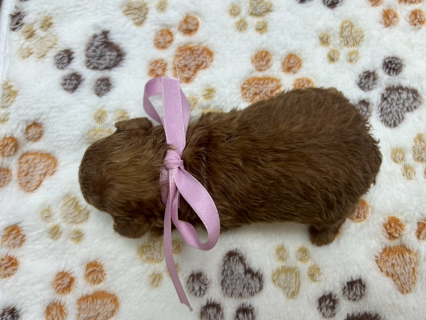 赤ちゃん写真2-3