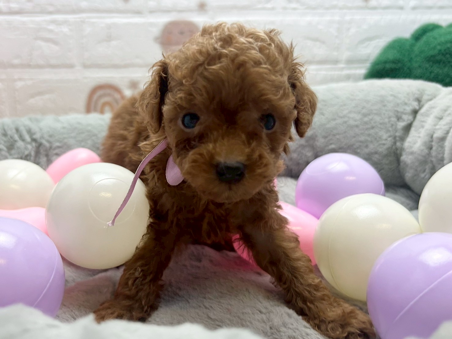 赤ちゃん写真3-1