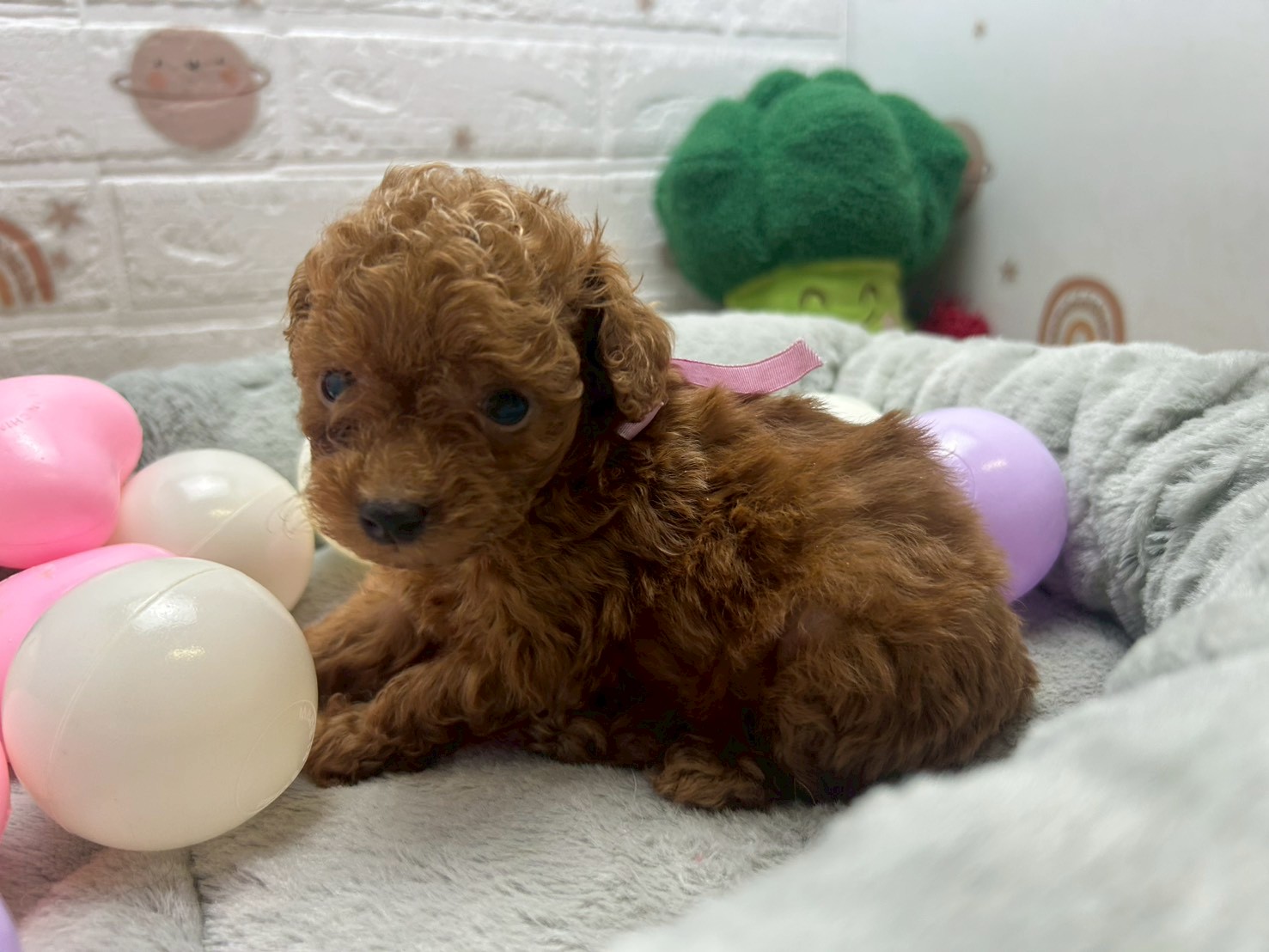 赤ちゃん写真3-2