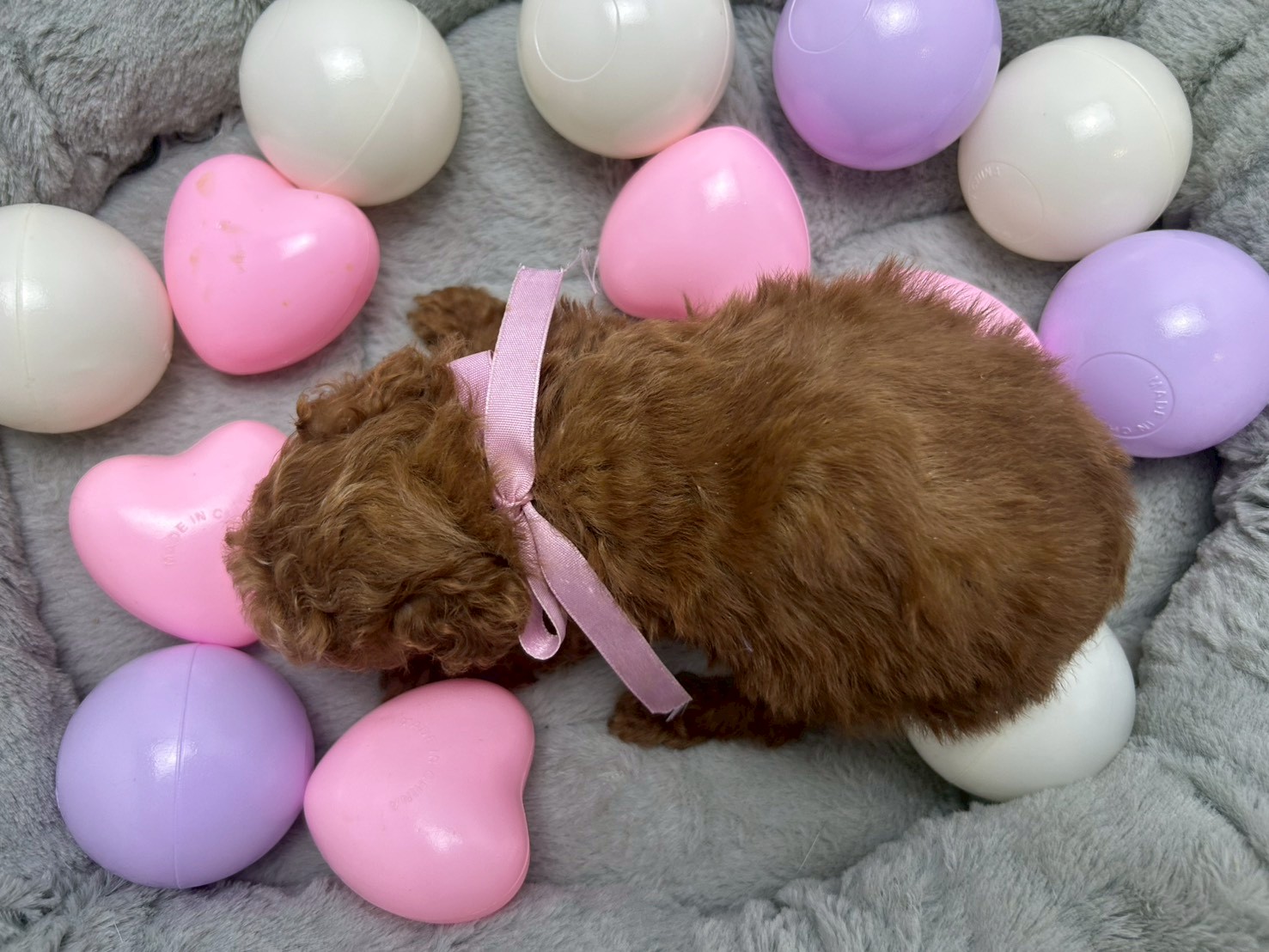 赤ちゃん写真3-3