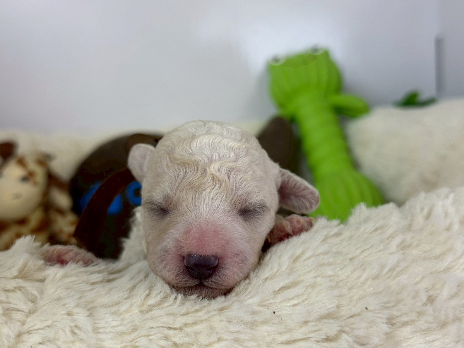 赤ちゃん写真1-1