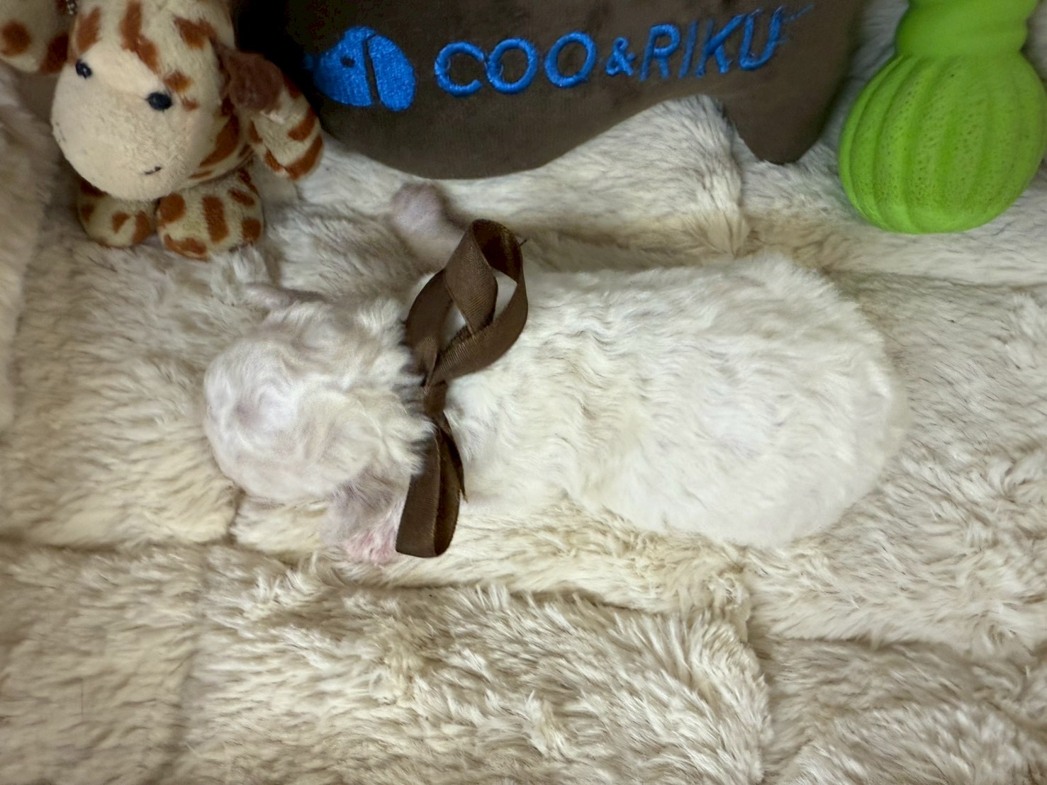 赤ちゃん写真1-3