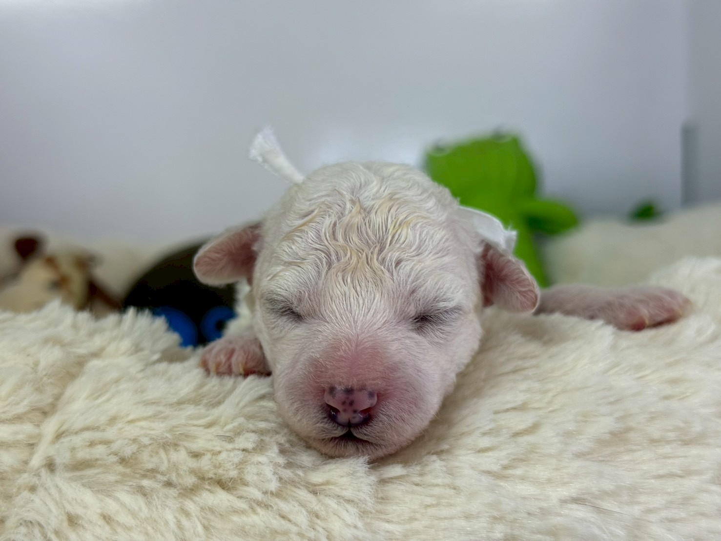 赤ちゃん写真1-1