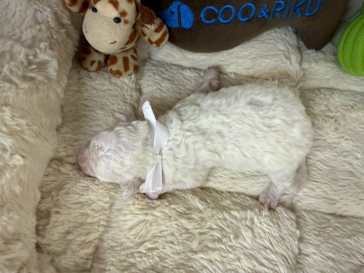 赤ちゃん写真1-3