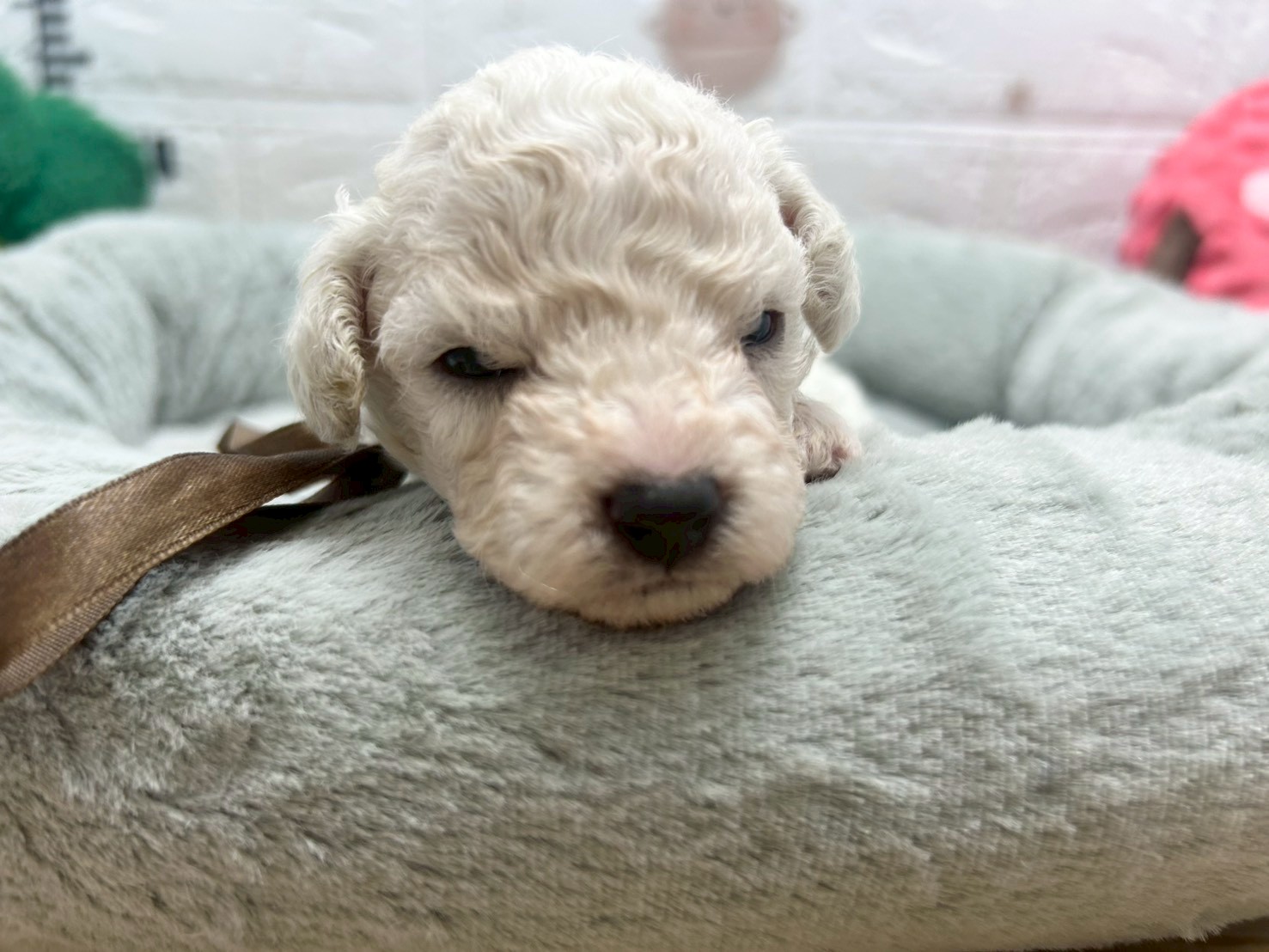 赤ちゃん写真2-1