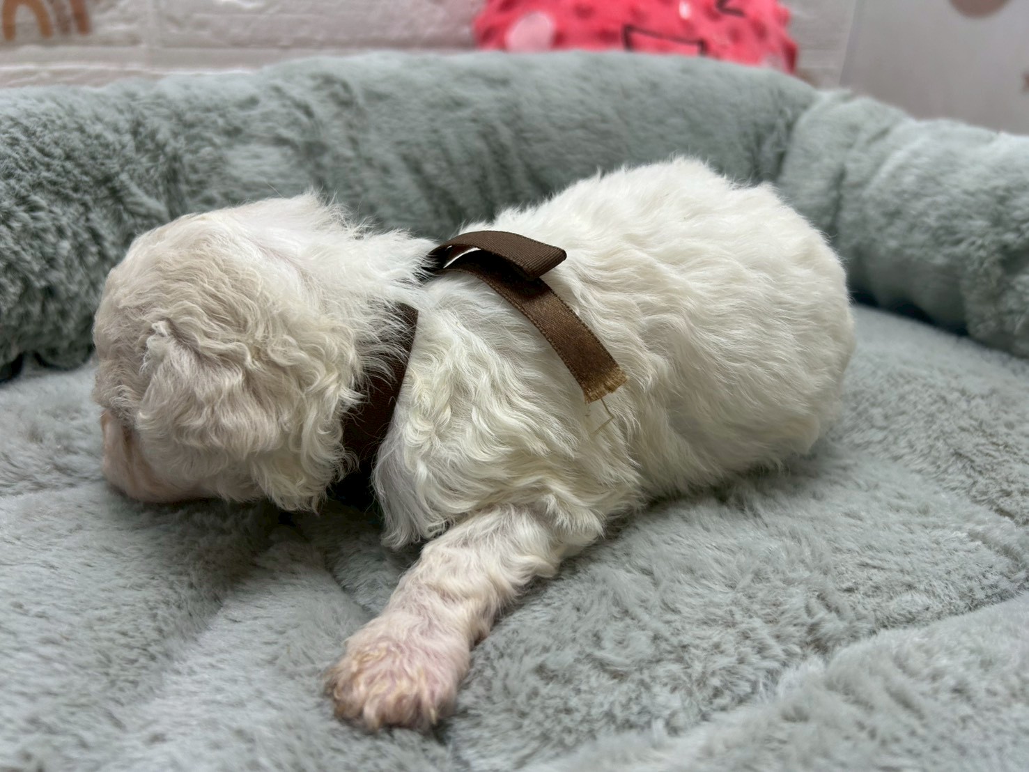 赤ちゃん写真2-2