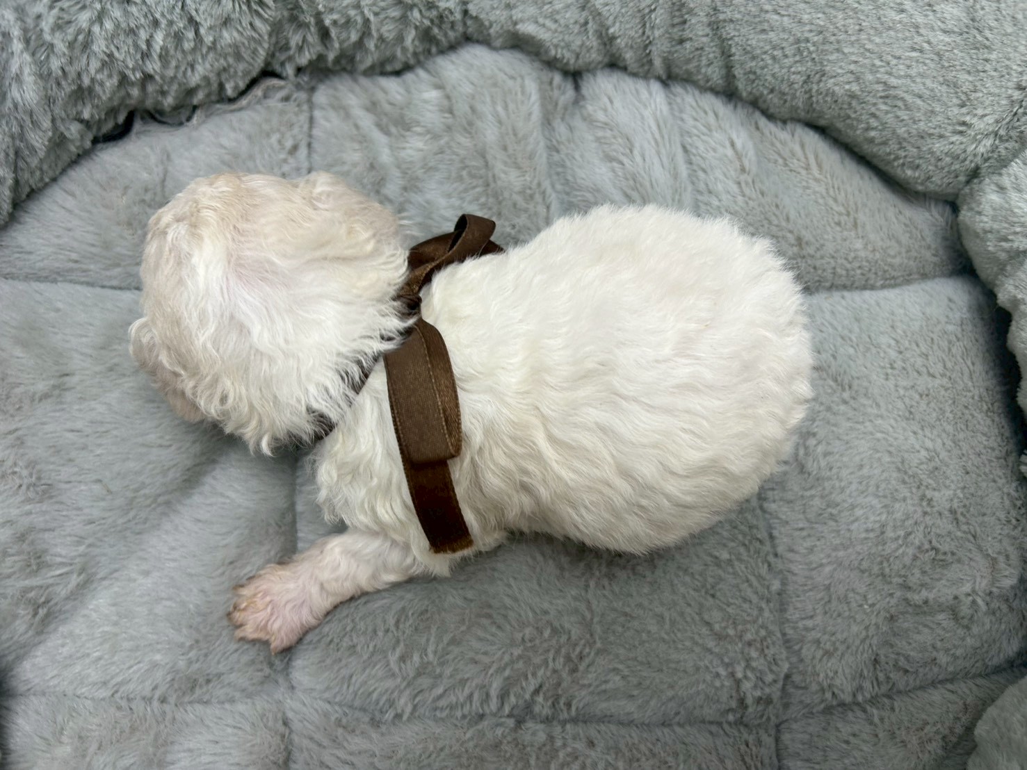 赤ちゃん写真2-3