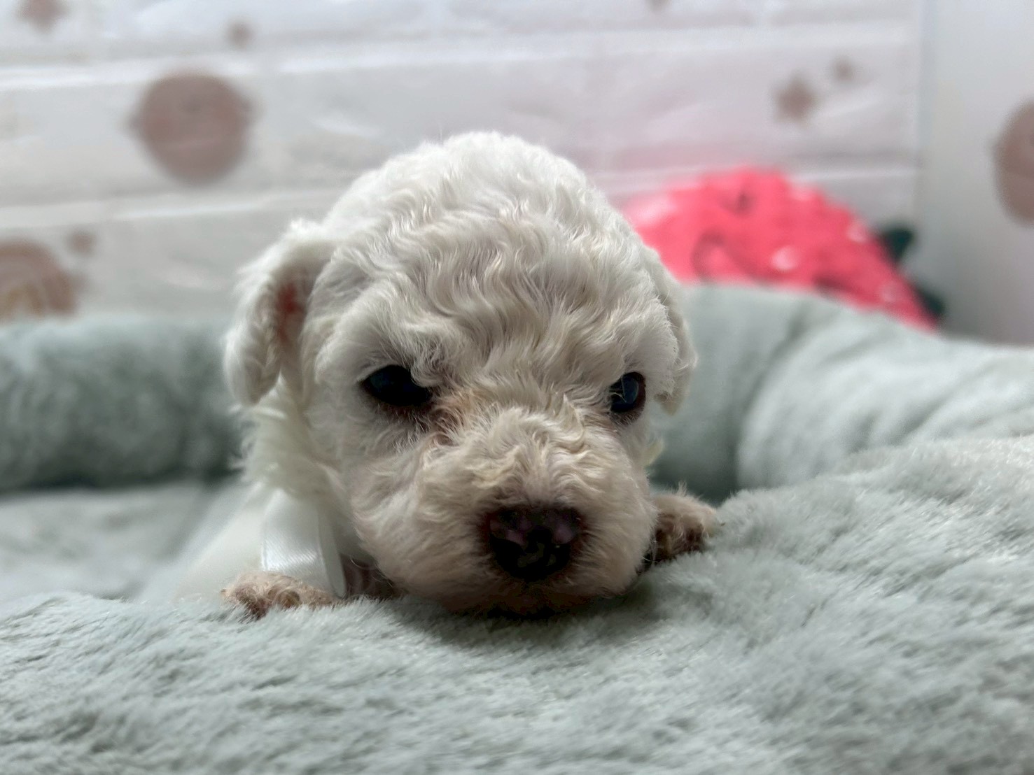 赤ちゃん写真2-1