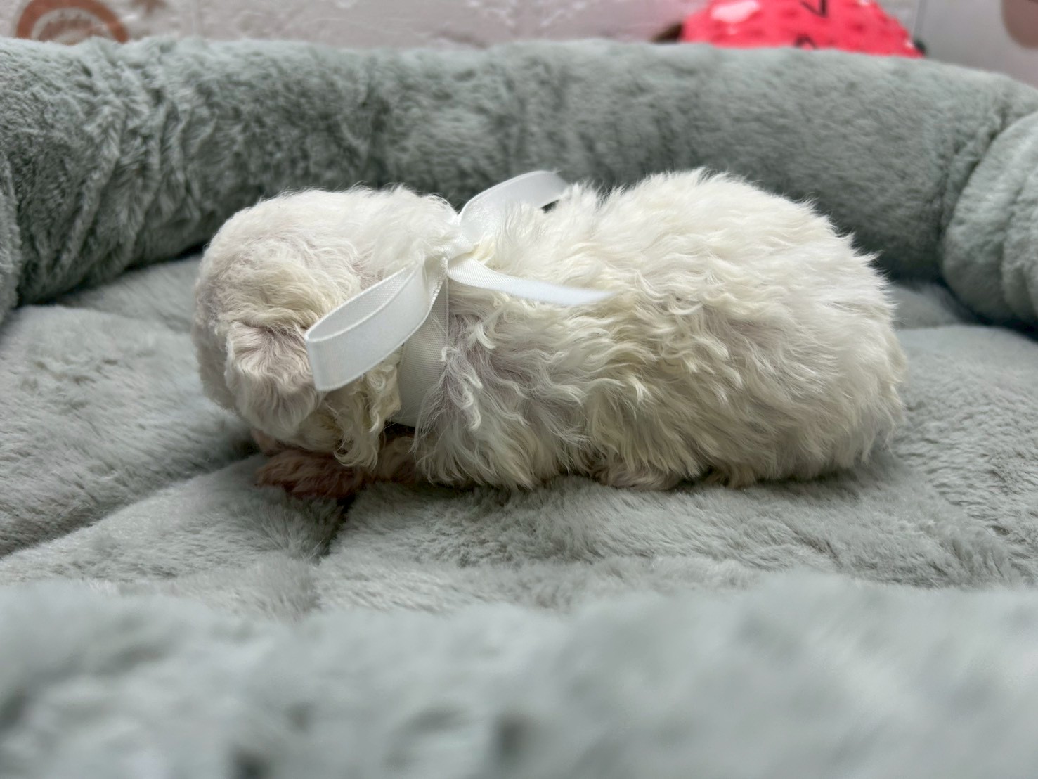 赤ちゃん写真2-2