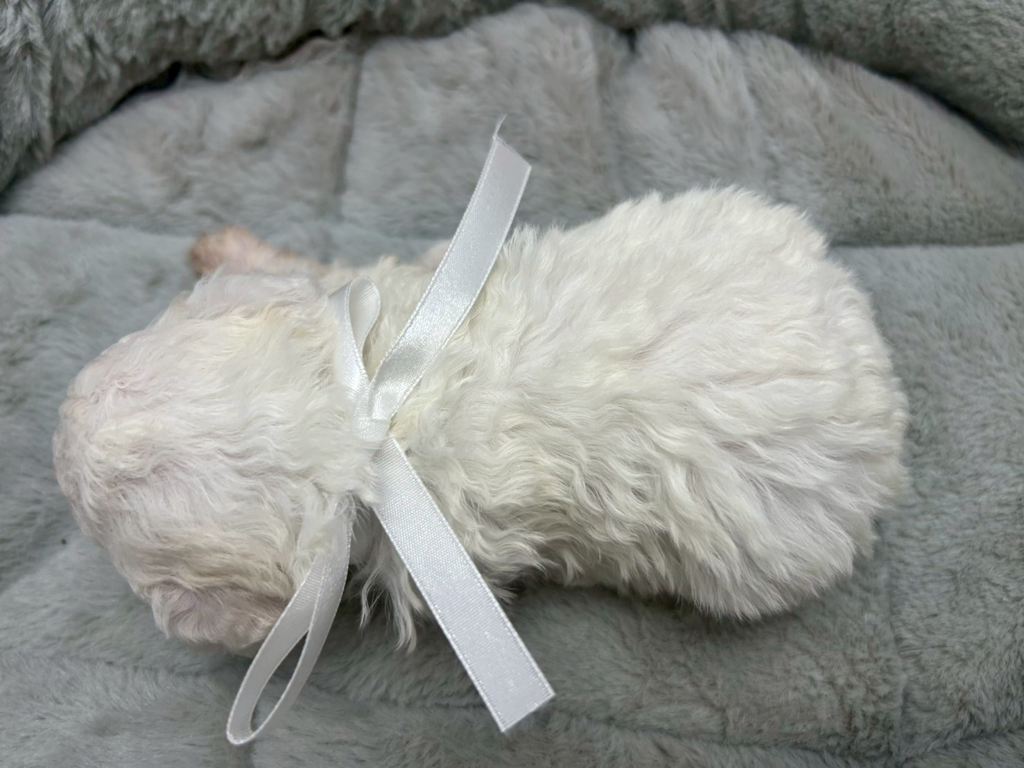 赤ちゃん写真2-3