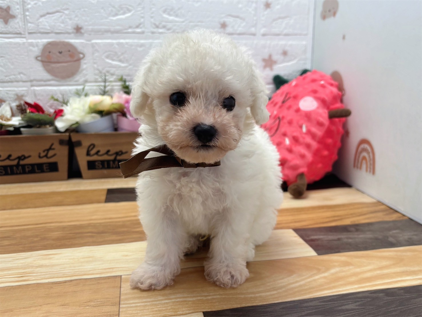 赤ちゃん写真3-1