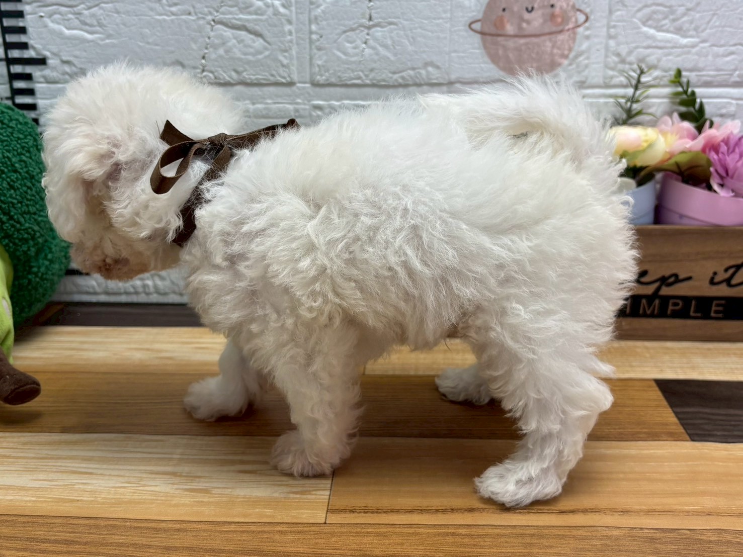 赤ちゃん写真3-2