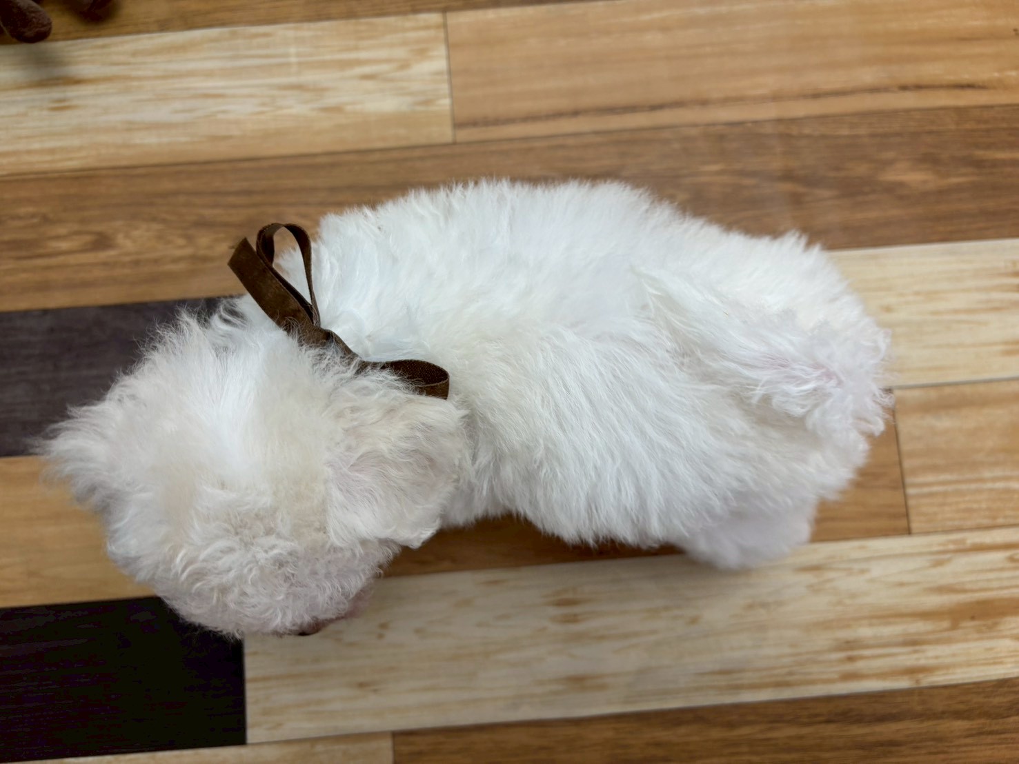 赤ちゃん写真3-3