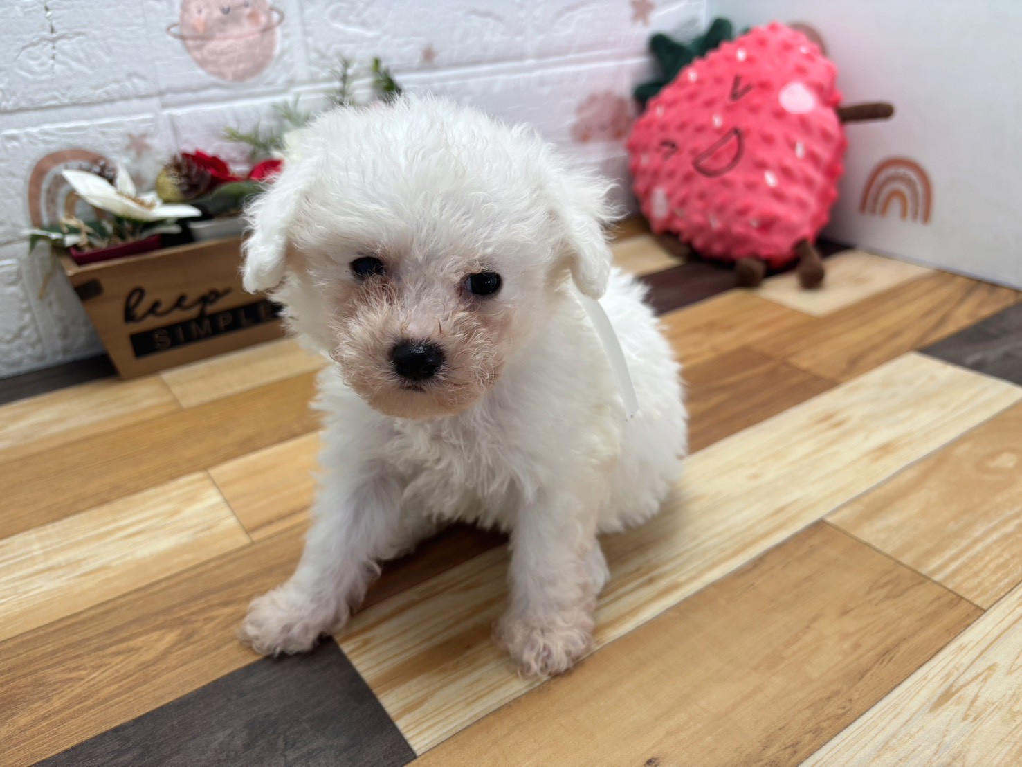 赤ちゃん写真3-1