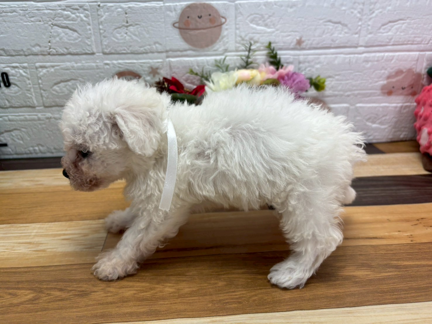 赤ちゃん写真3-2