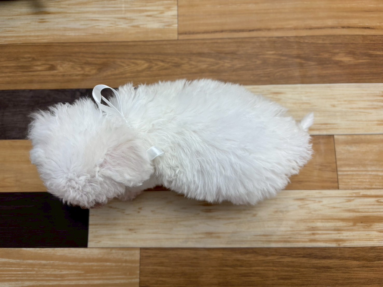 赤ちゃん写真3-3