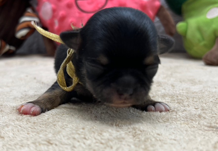 赤ちゃん写真1-1