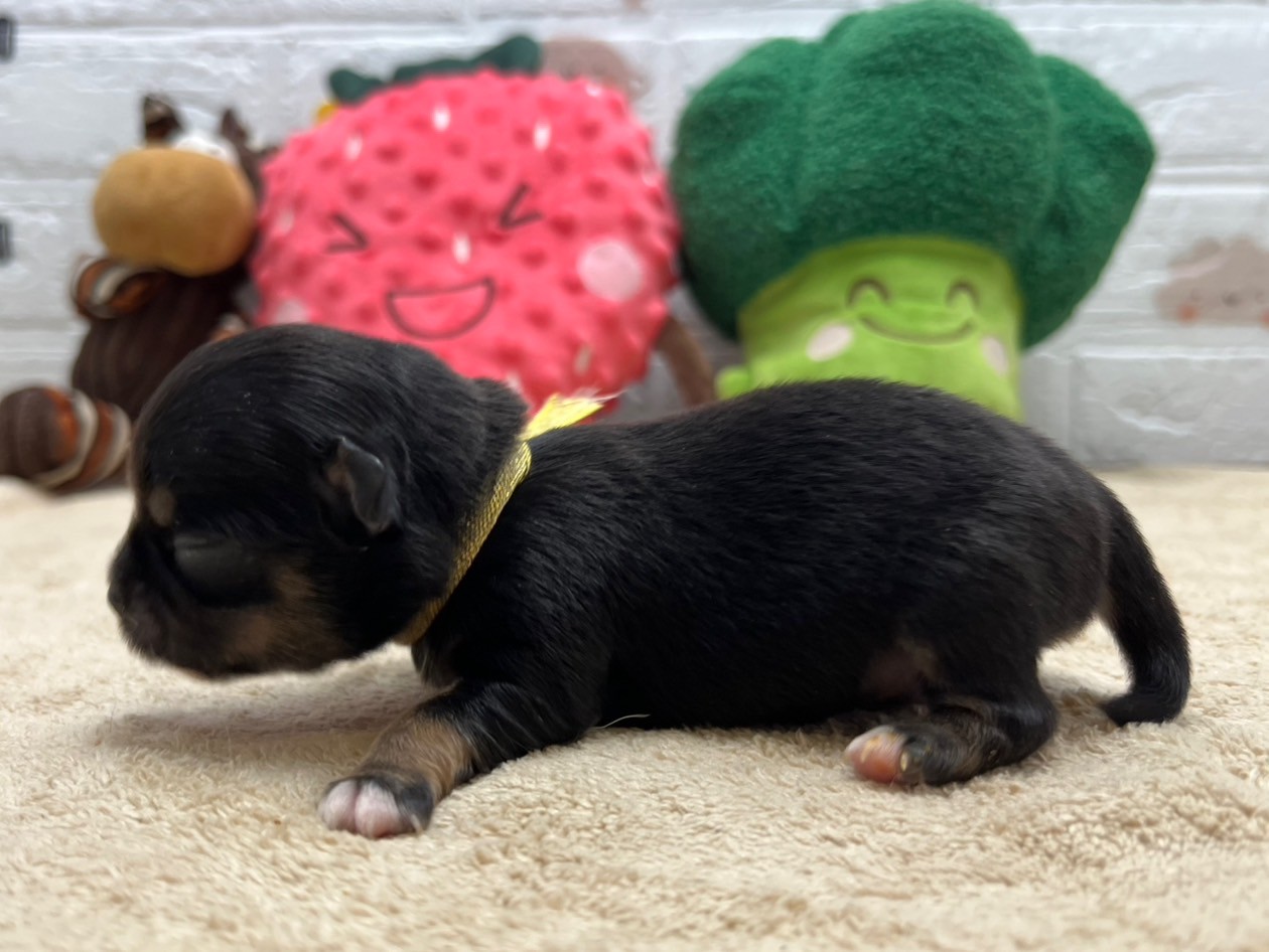 赤ちゃん写真1-2