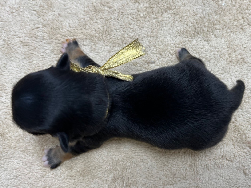 赤ちゃん写真1-3