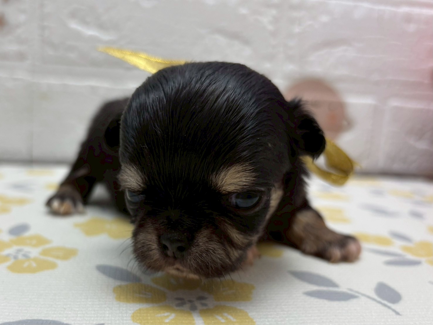 赤ちゃん写真2-1