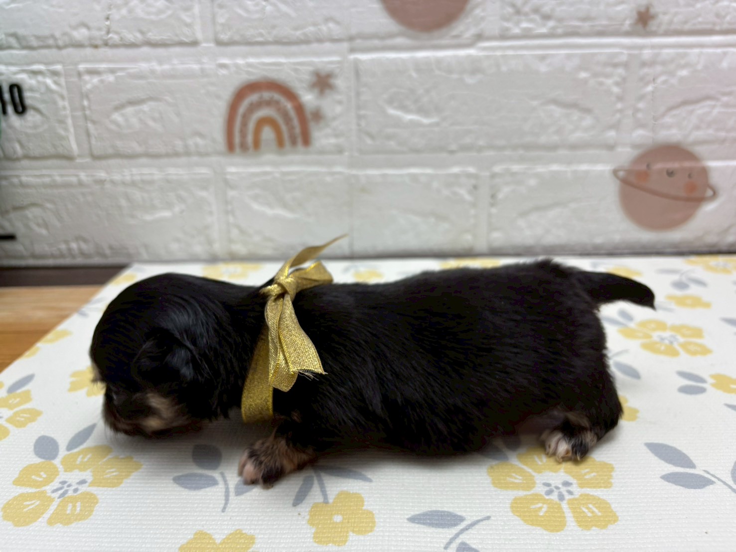 赤ちゃん写真2-2