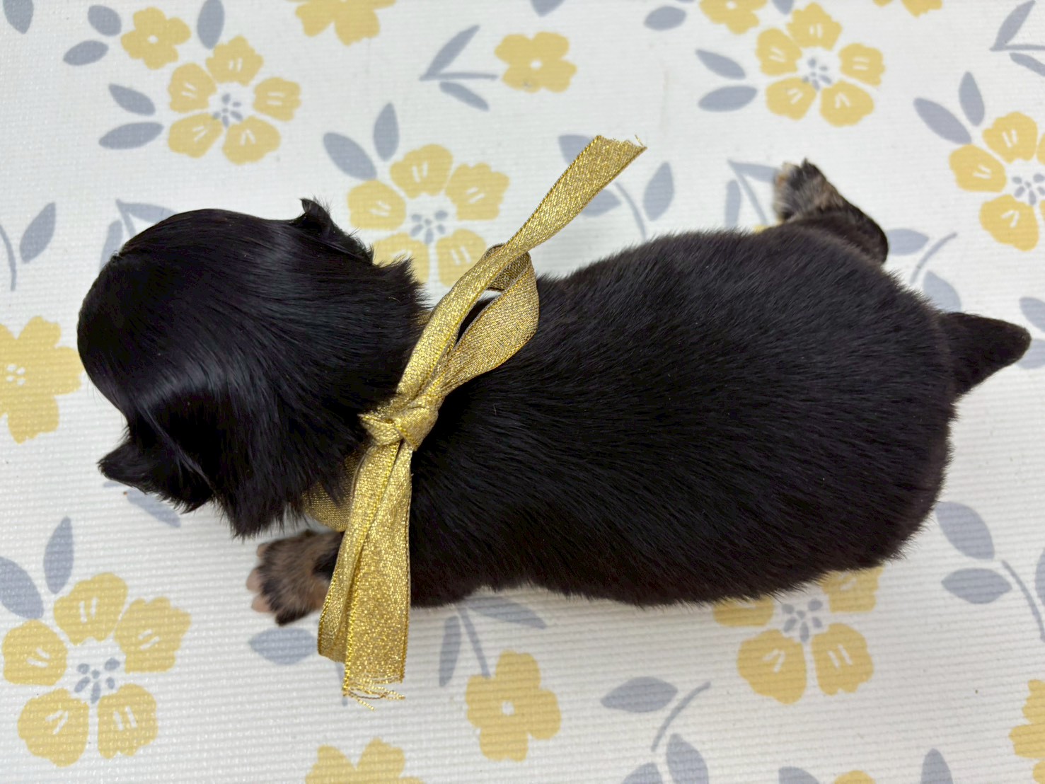 赤ちゃん写真2-3