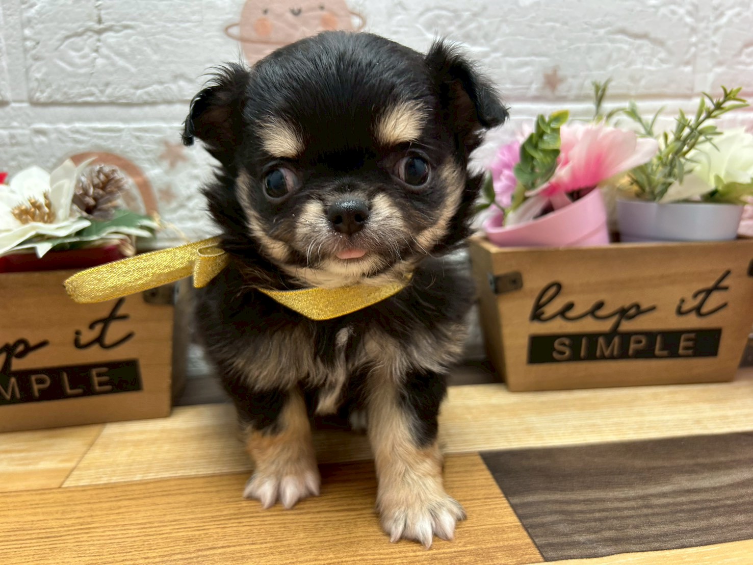 赤ちゃん写真3-1