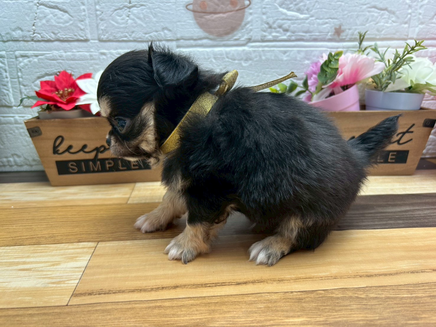 赤ちゃん写真3-2