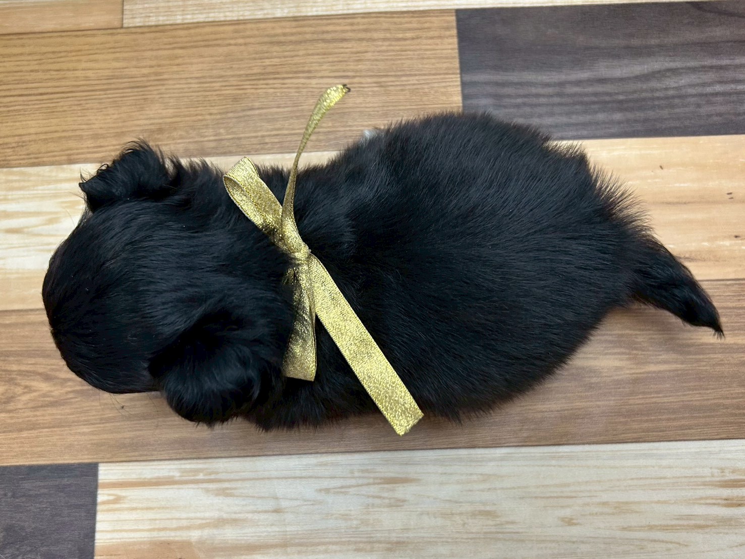 赤ちゃん写真3-3