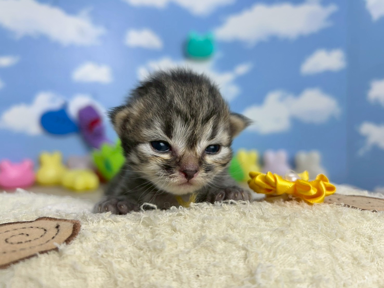 赤ちゃん写真1-1