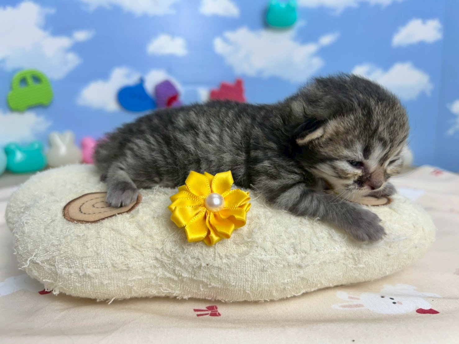 赤ちゃん写真1-2