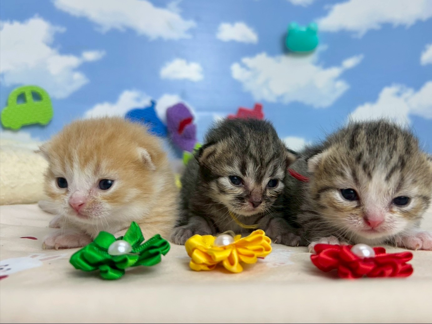 赤ちゃん写真1-3