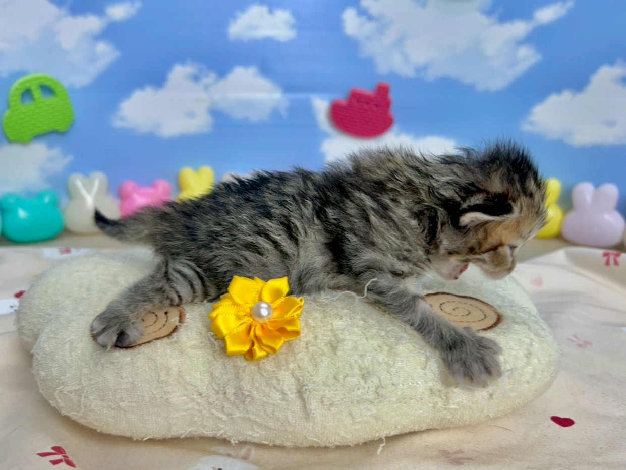 赤ちゃん写真1-2