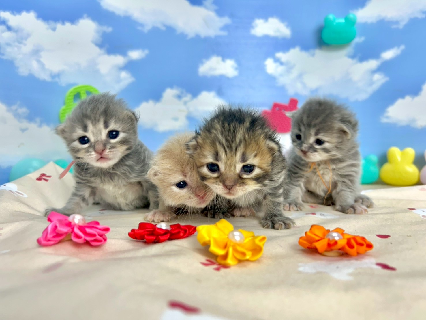 赤ちゃん写真1-3