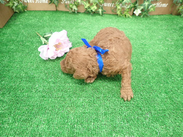 赤ちゃん写真2-3