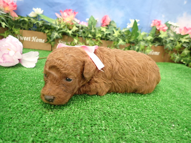 赤ちゃん写真2-2