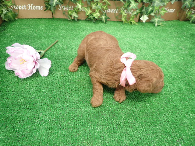 赤ちゃん写真2-3