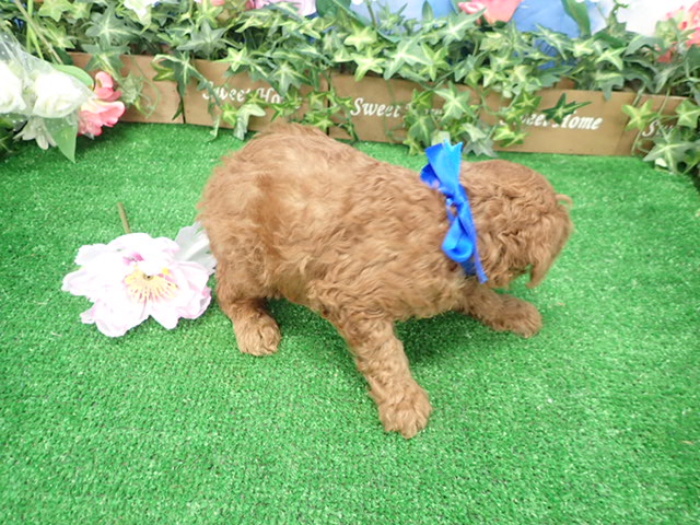 赤ちゃん写真3-3