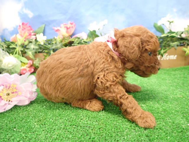 赤ちゃん写真3-2