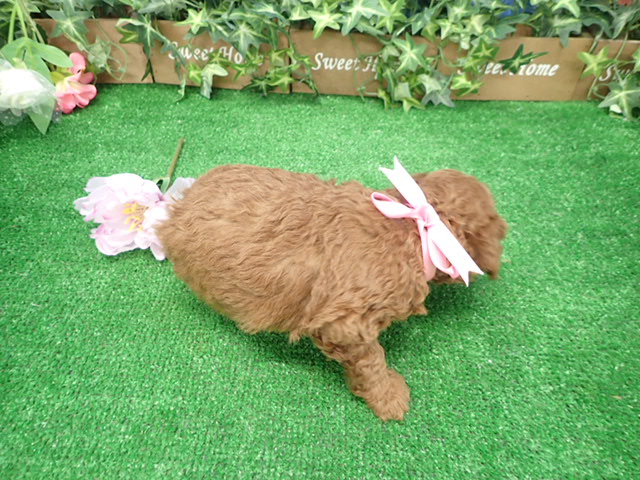 赤ちゃん写真3-3