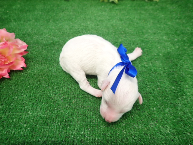 赤ちゃん写真1-3