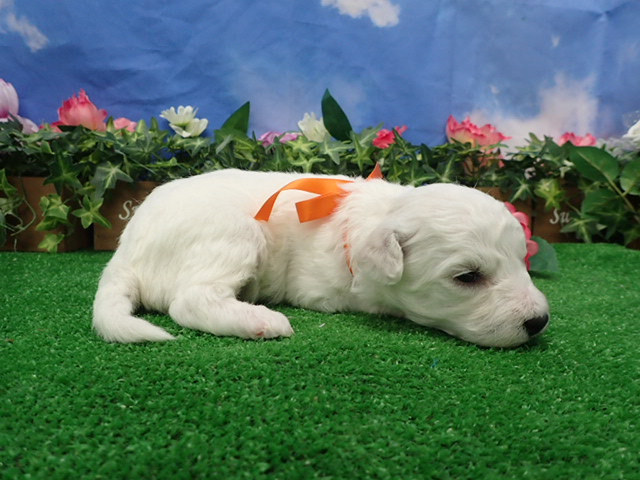 赤ちゃん写真2-2