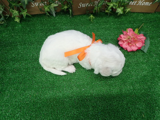 赤ちゃん写真2-3