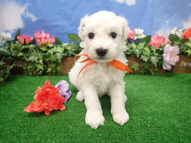 赤ちゃん写真3-1