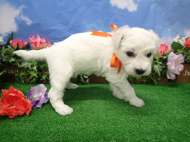 赤ちゃん写真3-2