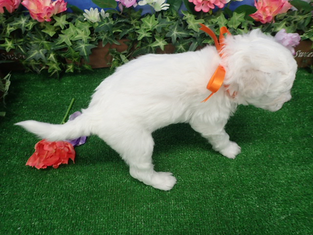 赤ちゃん写真3-3