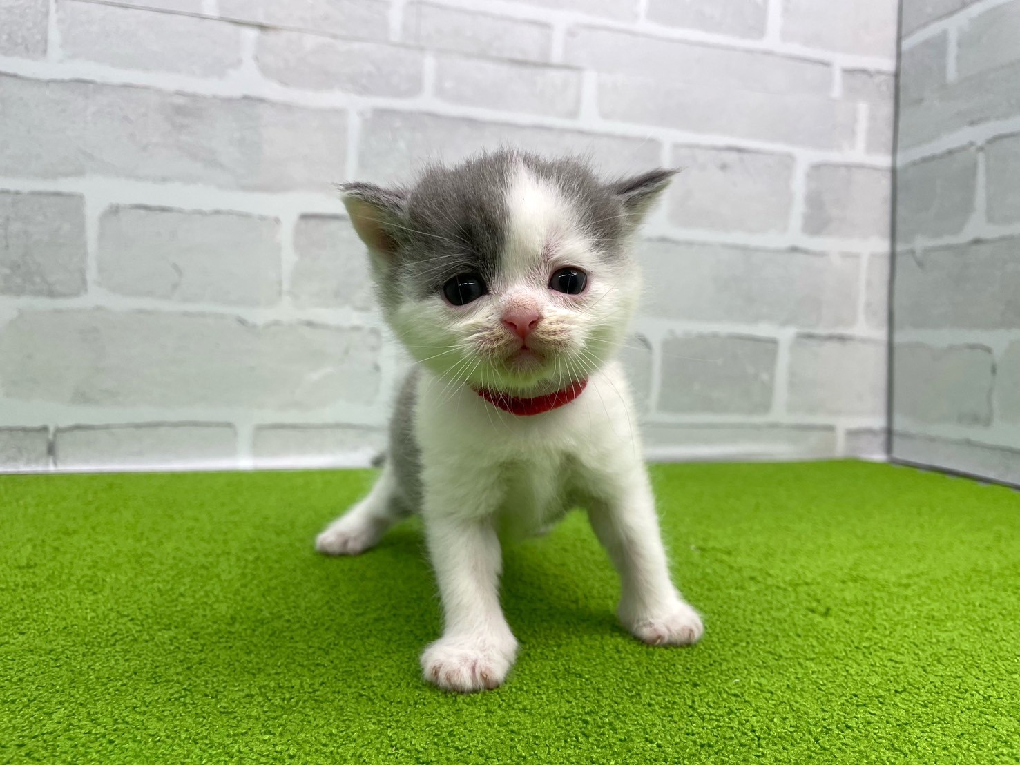 赤ちゃん写真2-1