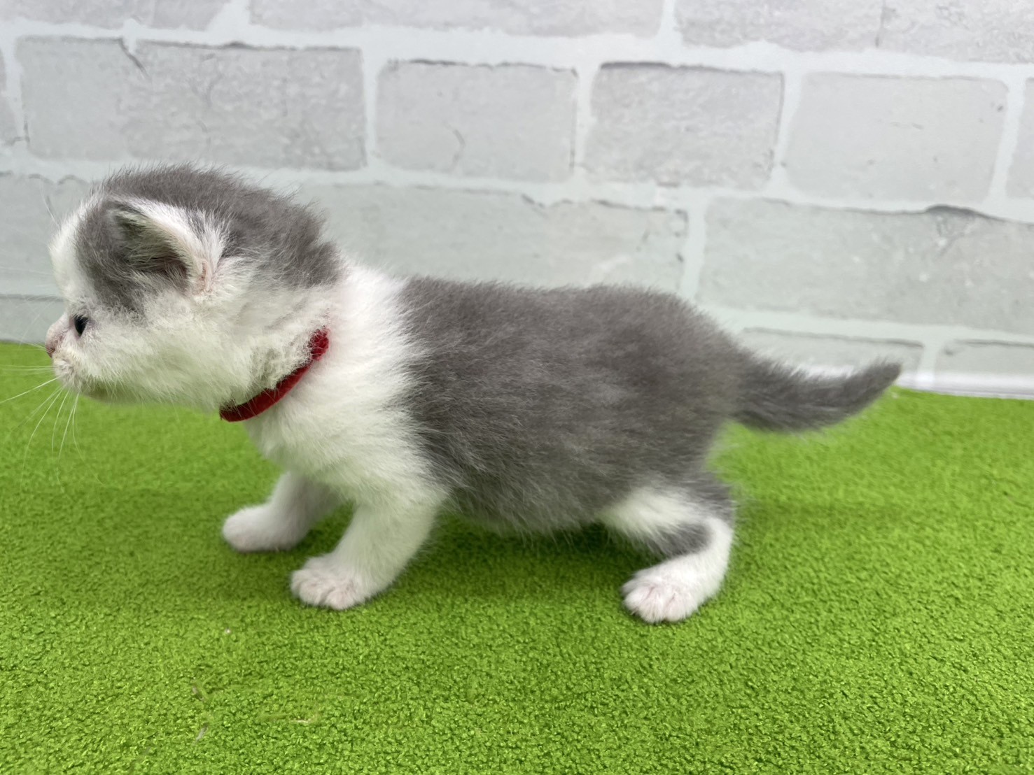 赤ちゃん写真2-2